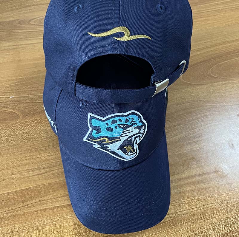 Cap HC Barys Blue
