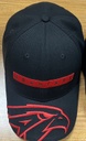 Cap I'm on the team