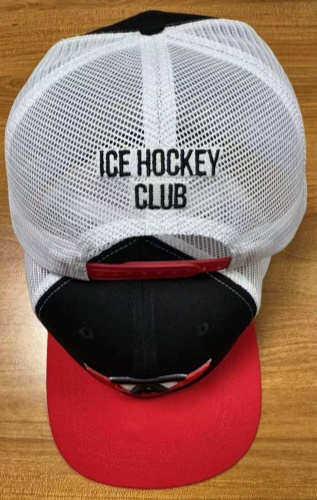 Snapback HC Avtomobilist white grid 22.04.25