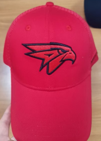 Cap HC Avangard 5 2026.05.25