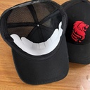 Cap BLG net