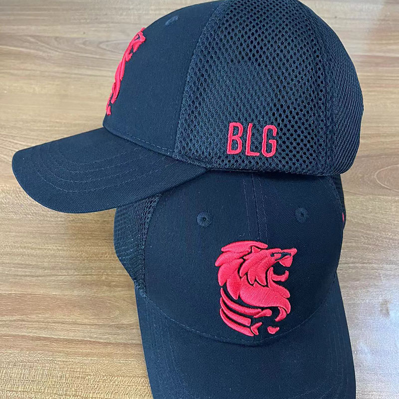 Cap BLG net