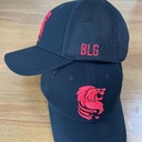 Cap BLG net