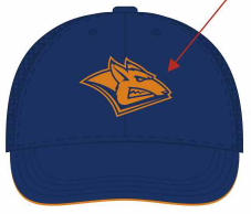 cap hk metallyrg blue 1