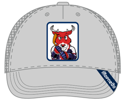 HC Torpedo Cap gray2024.07